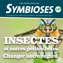 Symbioses 138 : Insectes et autres petites bêtes, changer notre regard